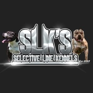 Meet your Posher, Darious